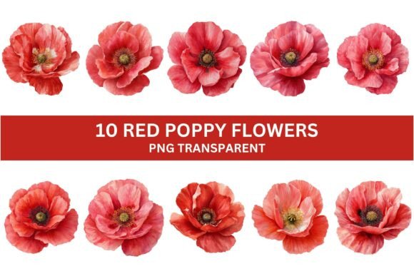 10 Vibrant Red Poppy Flower PNG Set for Designers