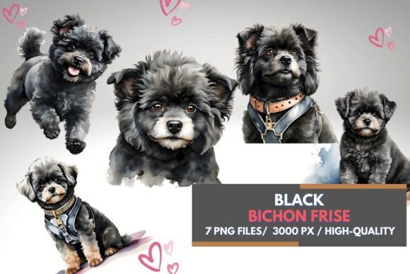 Black Bichon Frise Watercolor Clipart: A Designer's Guide to Whimsical Charm