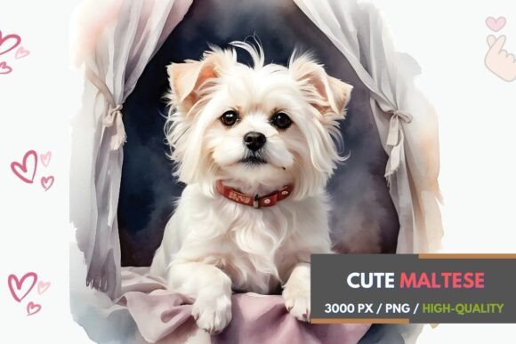 Charming Maltese Watercolor Clipart: A Designer's Delight