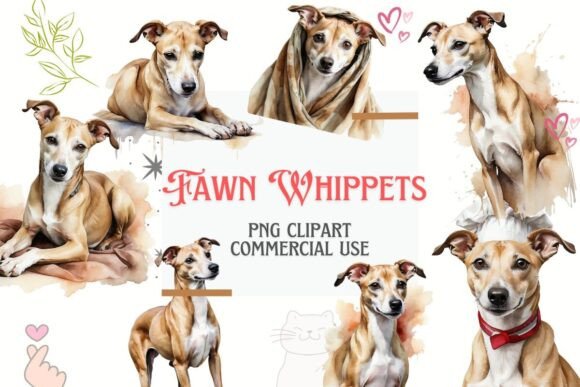 Fawn Whippet Watercolor Clipart: Elegant Design Assets