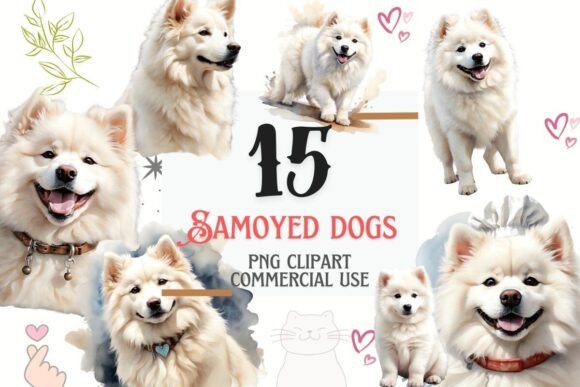 Samoyed Dogs Watercolor Clipart: 15 PNG Assets